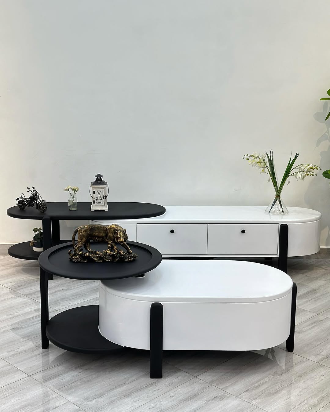 Tv Showcase & Coffee Table